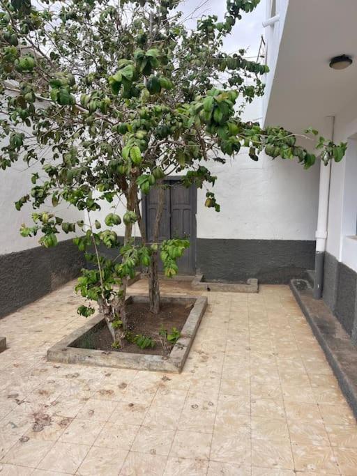 Casa Plaza 1 * Vega de Rio de Palmas